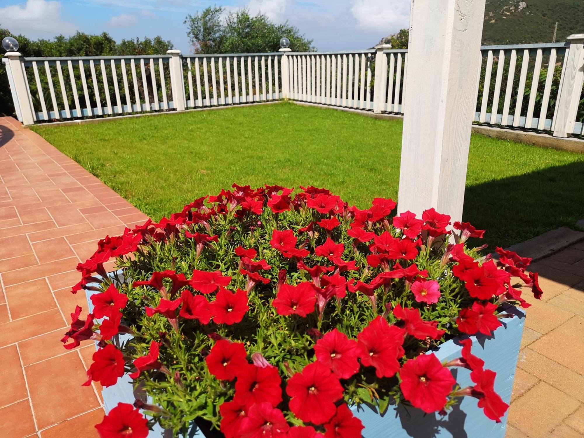 Nel Verde Del Villaggio - Casetta Celeste Гоннеза Экстерьер фото